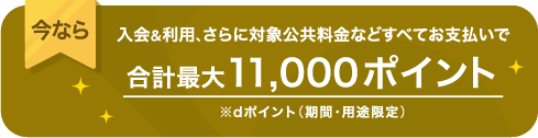 今なら入会＆利用、さらに対象公共料金などすべてお支払いで合計最大11,000ポイント　※dポイント（期間・用途限定）