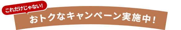 これだけじゃない！おトクなキャンペーン実施中！