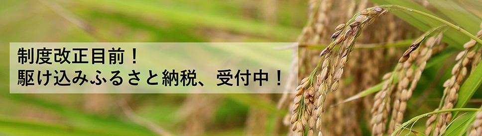 制度改正目前！駆け込みふるさと納税、受付中！