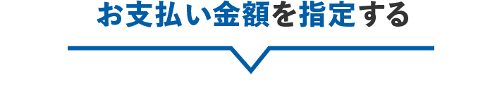 お支払い金額を指定する