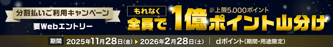 分割払いご利用キャンペーン 要Webエントリー もれなく全員で1億ポイント山分け ※上限5,000ポイント 期間 2025年11月28日（金） 2026年2月28日（土）｜ dポイント（期間・用途限定）