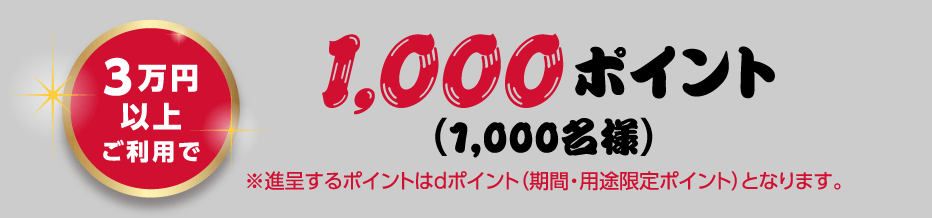 3万円以上ご利用で1,000ポイント （1,000名様）※進呈するポイントはdポイント（期間・用途限定ポイント）となります。